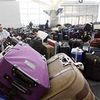JFK Airport Workers Stole From Baggage, Queens DA Says